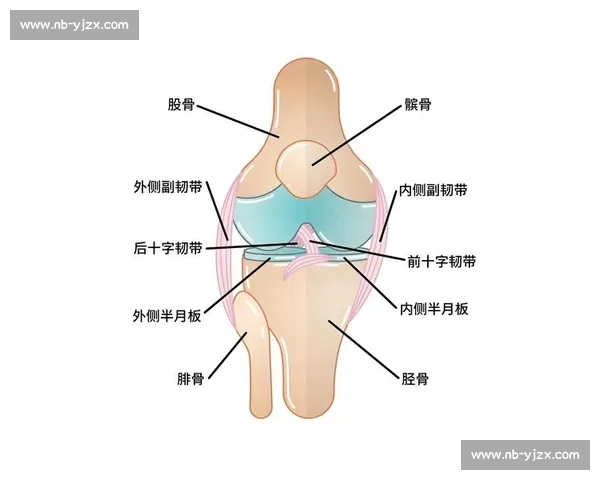 基于体育科学方法的运动训练效能优化与运动损伤预防研究