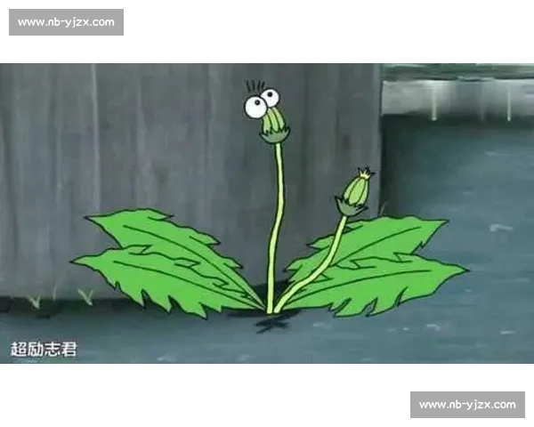 挑战极限搞笑比赛 穿越尴尬瞬间 谁能在脱裤子游戏中胜出 挑战极限搞笑比赛 穿越尴尬瞬间 谁能在脱裤子游戏中胜出