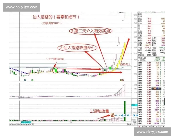 炒股比赛冠军的成功之道:从初学者到投资高手的成长历程与经验分享 炒股比赛冠军的成功之道:从初学者到投资高手的成长历程与经验分享